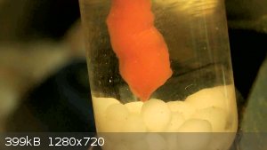 vlcsnap-2024-07-26-15h44m29s589.png - 399kB