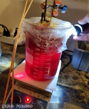 After 12 Hours.jpg - 132kB