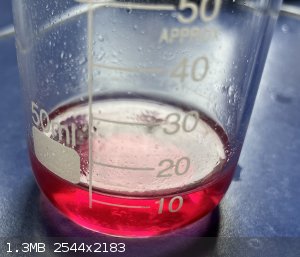 IMG_0353.jpeg - 1.3MB