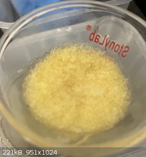 IMG_0410.jpeg - 221kB