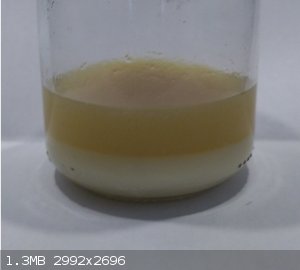 IMG_202603.jpg - 1.3MB