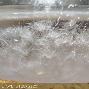 df9c5782-faba-4bba-b03f-f19a22df986a.jpg - 1.5MB