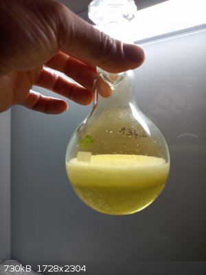 IMG_20260223_163753_5_sm.jpg - 730kB