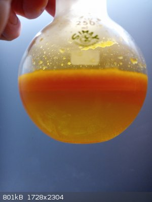 IMG_20260223_164222_5_sm.jpg - 801kB