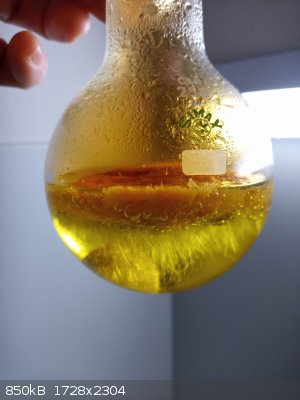 IMG_20260224_073126_4_sm.jpg - 850kB